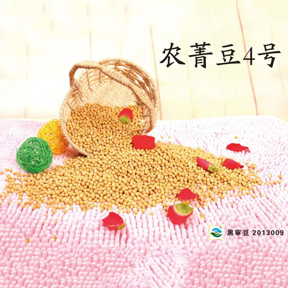 農(nóng)菁豆4號(hào)