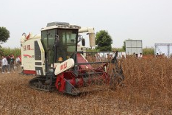 知識點(diǎn)！玉米的常見蟲害和防治方法